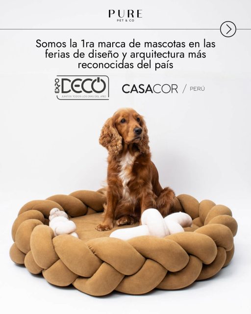 Somos la primera marca de mascotas presente en las ferias de diseño y arquitectura más prestigiosas del país.➡️ Desliza y descubre cómo el bienestar y la estética conviven en un mismo espacio.🌏 Descubre más en:www.purepet.co