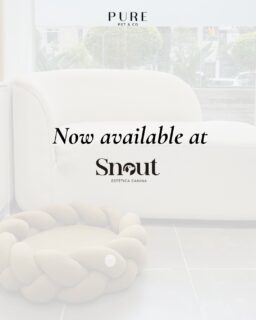 NEWS: Desde hoy, encuentra todos nuestros productos en Snout.📍 Av. Reducto 851 Miraflores🕜 Lunes a Sábado de 9am a 7pm